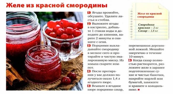 Варенье-желе из красной смородины: быстрые рецепты желейного варенья, как варить на зиму