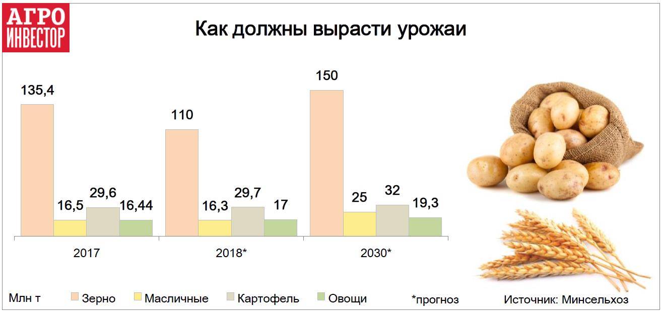ᐉ урожайность картофеля с 1 га в россии и мире – анализ - roza-zanoza.ru