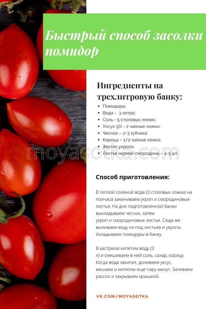 Помидоры рецепт на 3 литровую банку. Засолка помидор. Рецепт засолки помидор. Томат литр банку. Томат для засолки.