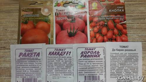 Описание гибридного сорта томата Данна, выращивание своими руками