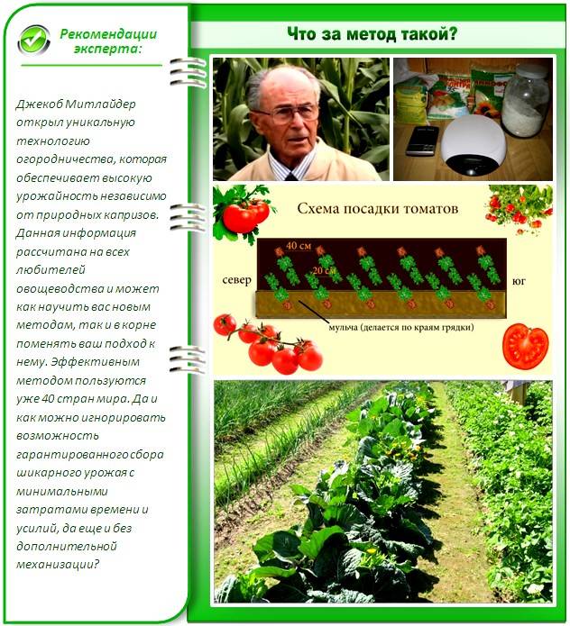 ᐉ метод миттлайдера для картофеля: от посадки до сбора урожая - roza-zanoza.ru