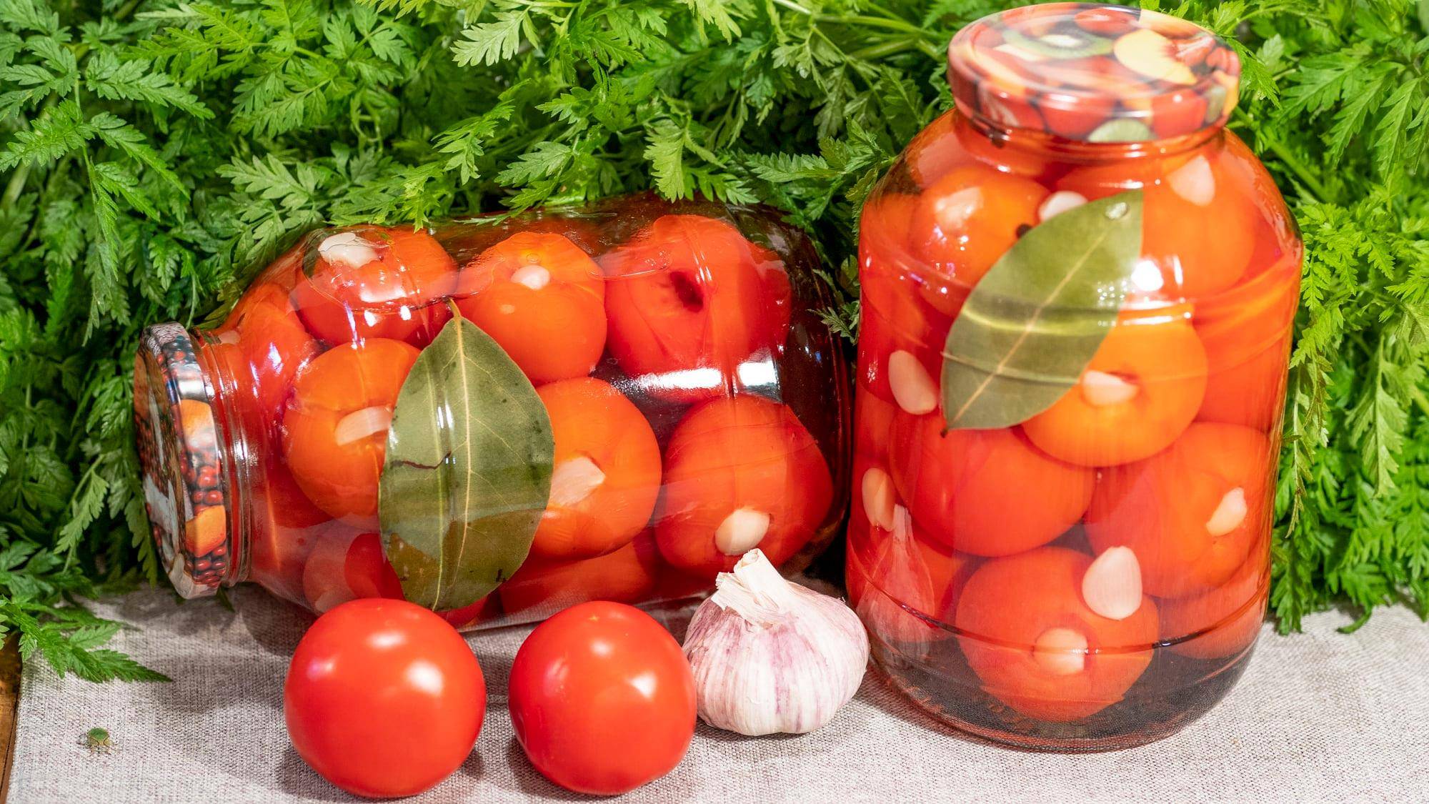 ТОП 10 рецептов приготовления на зиму маринованных остро-сладких помидоров