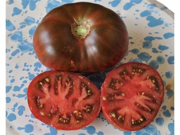 Фото, видео, отзывы, описание, характеристика и урожайность сорта томата «поль робсон»