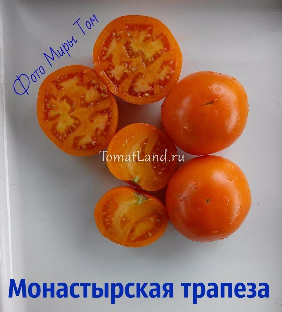 Лучшие полудетерминантные сорта томатов