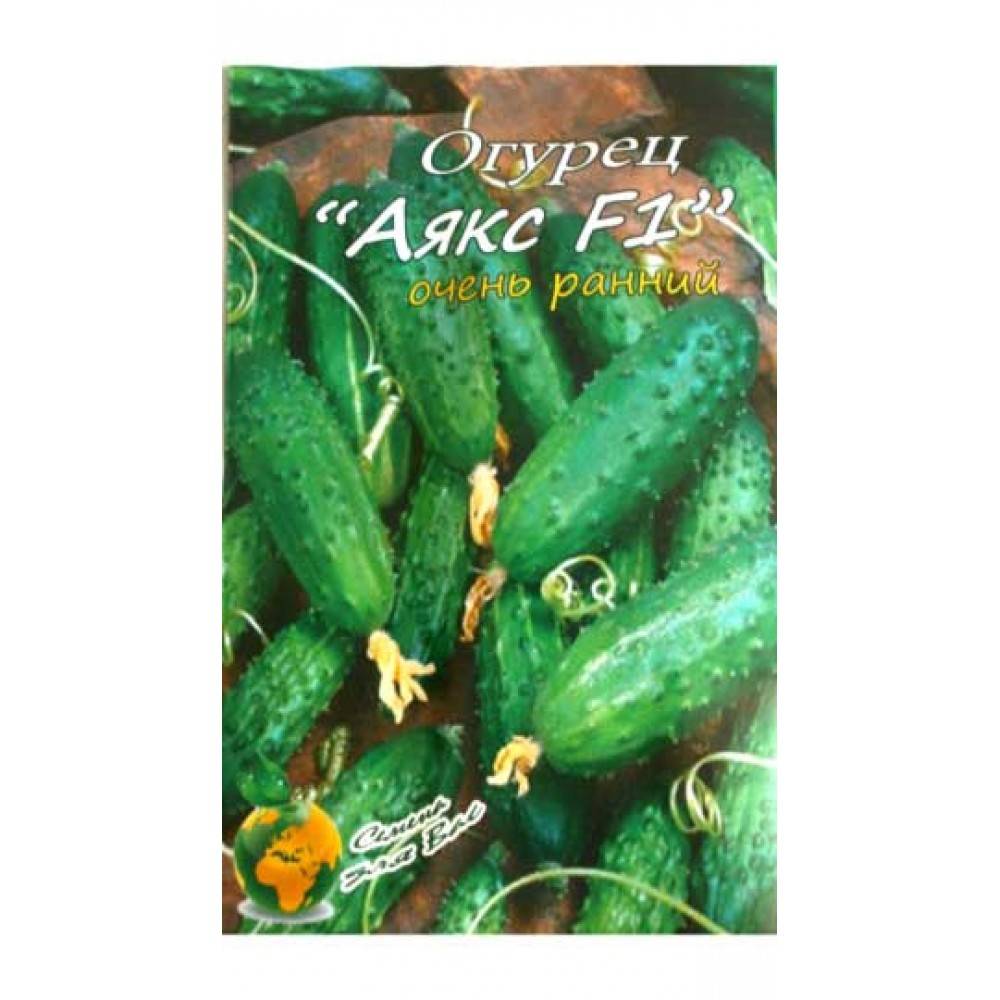 Аякс f1 – гибридный огурец для мелких и крупных фермерских угодий