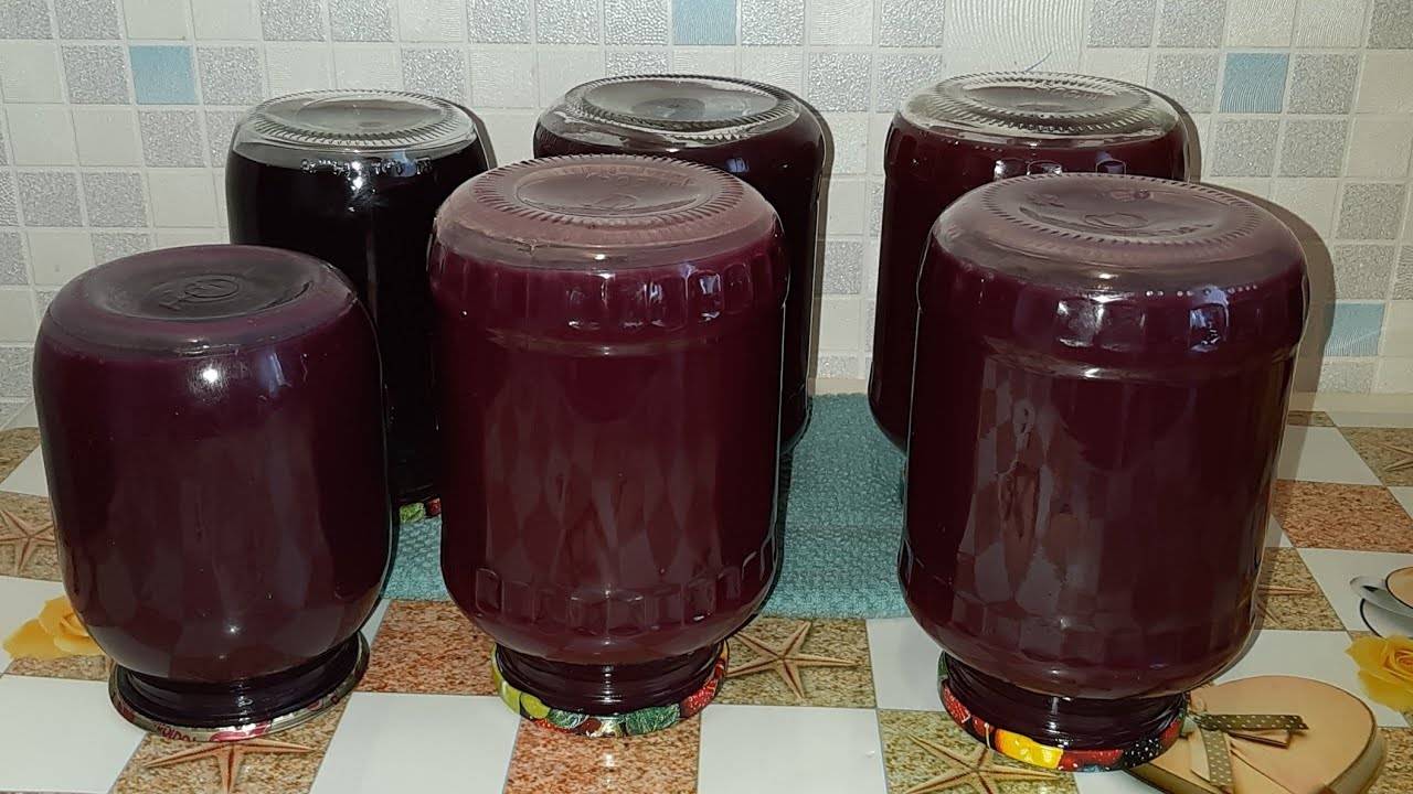 Как закатать виноградный сок из «изабеллы» в домашних условиях – 2 рецепта заготовки на зиму