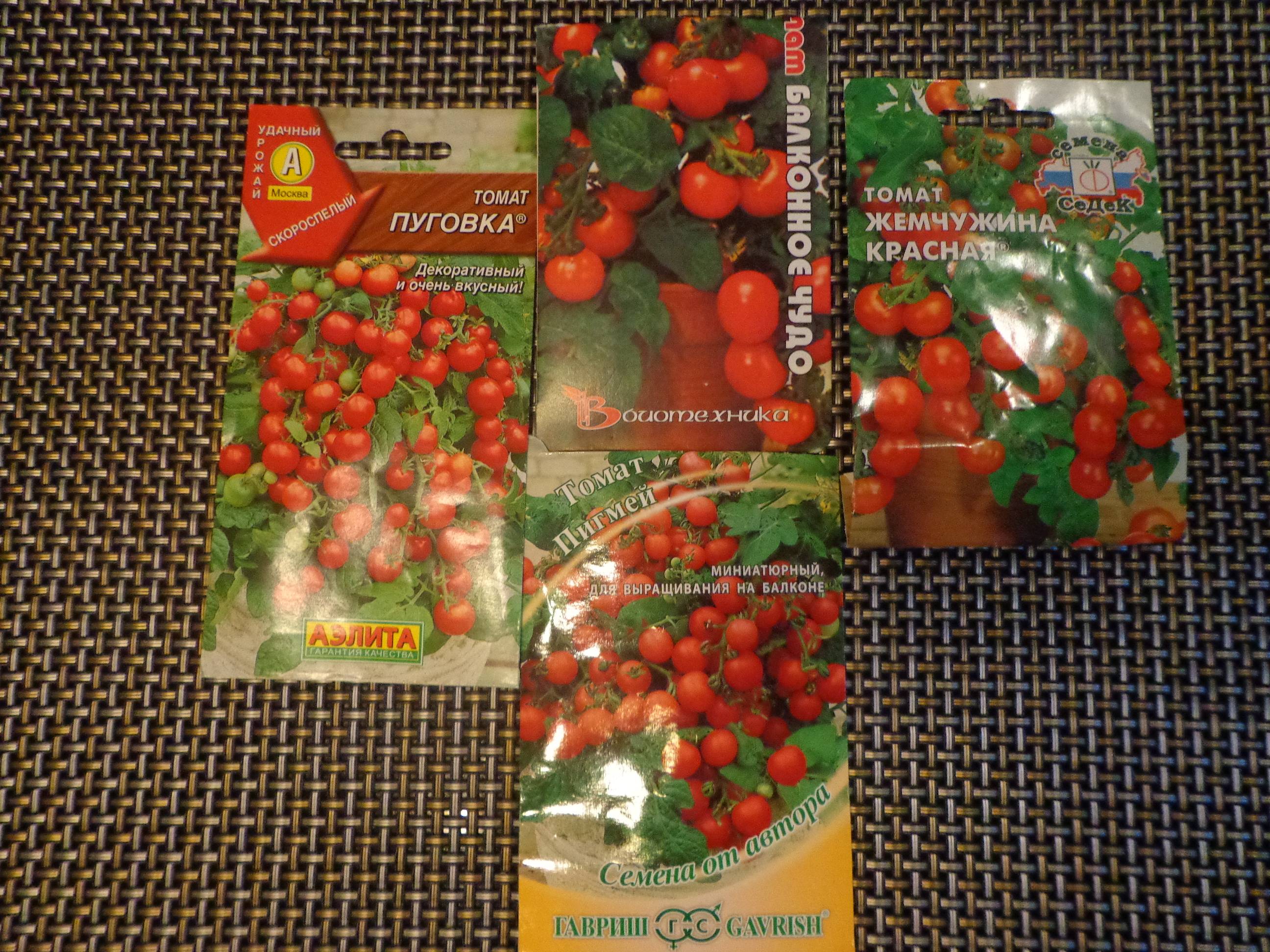 Семена аэлита-агро томат «пуговка» — отзывы