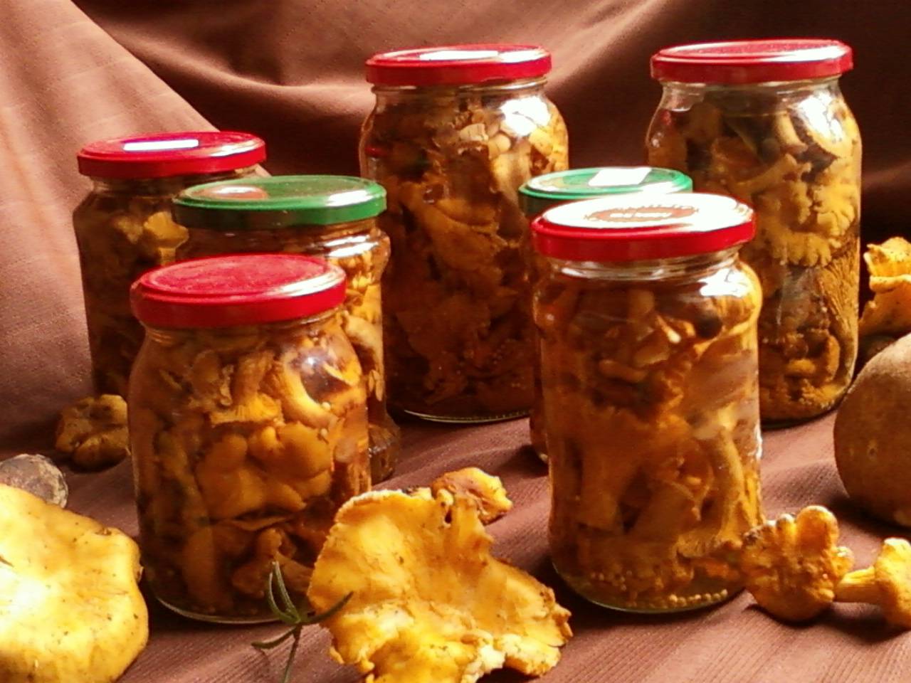 Маринованные лисички на зиму — 7 рецептов приготовления грибов лисичек