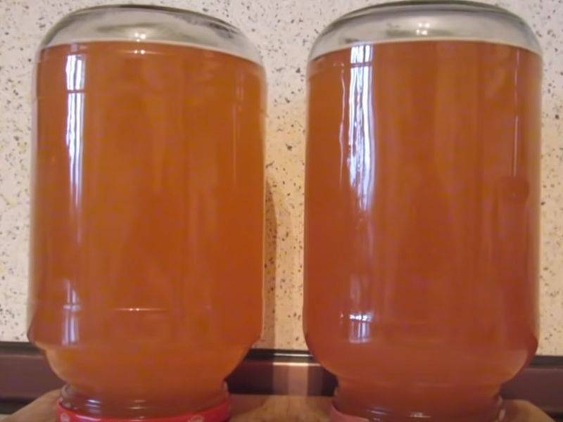 ТОП 10 рецептов консервированного яблочного сока на зиму в домашних условиях через соковыжималку