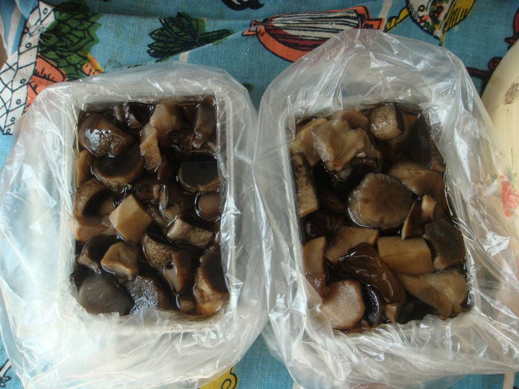 Как заморозить белые грибы, чтобы долго хранились
