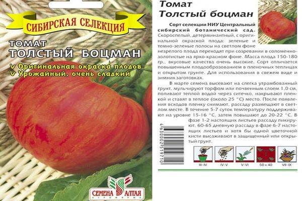 ᐉ томат "толстый боцман": описание, характеристики сорта и фото - orensad198.ru
