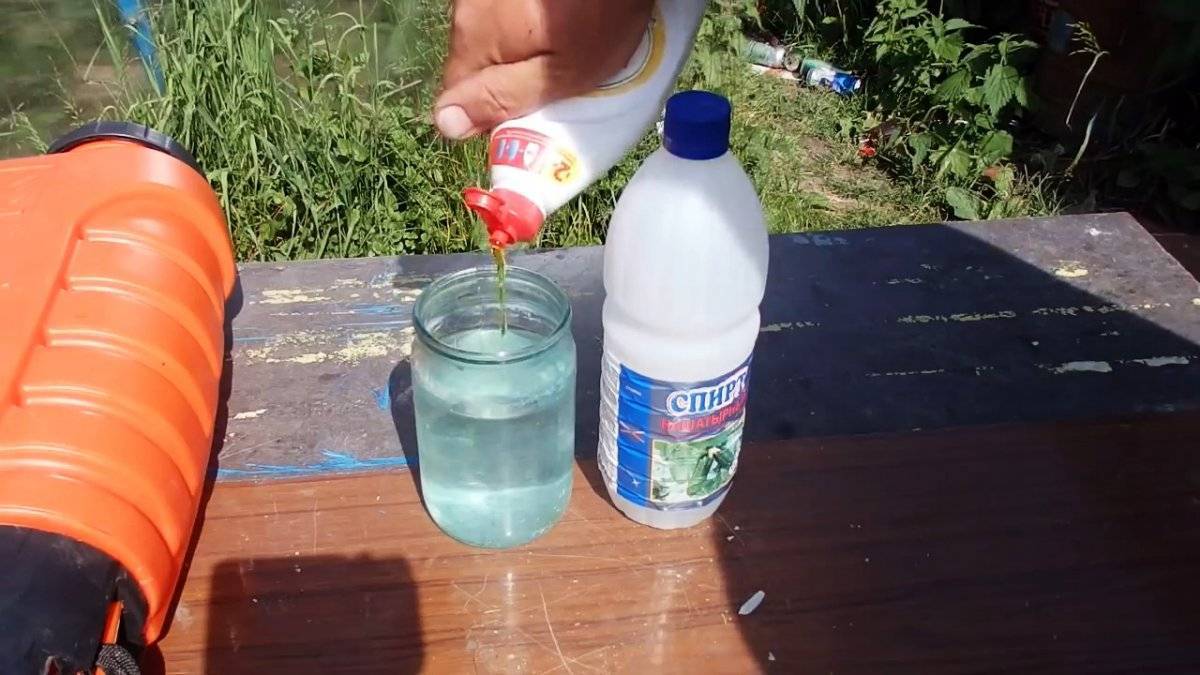Нашатырный спирт от колорадского жука на картошке: как применять, правила подкормки, отзывы