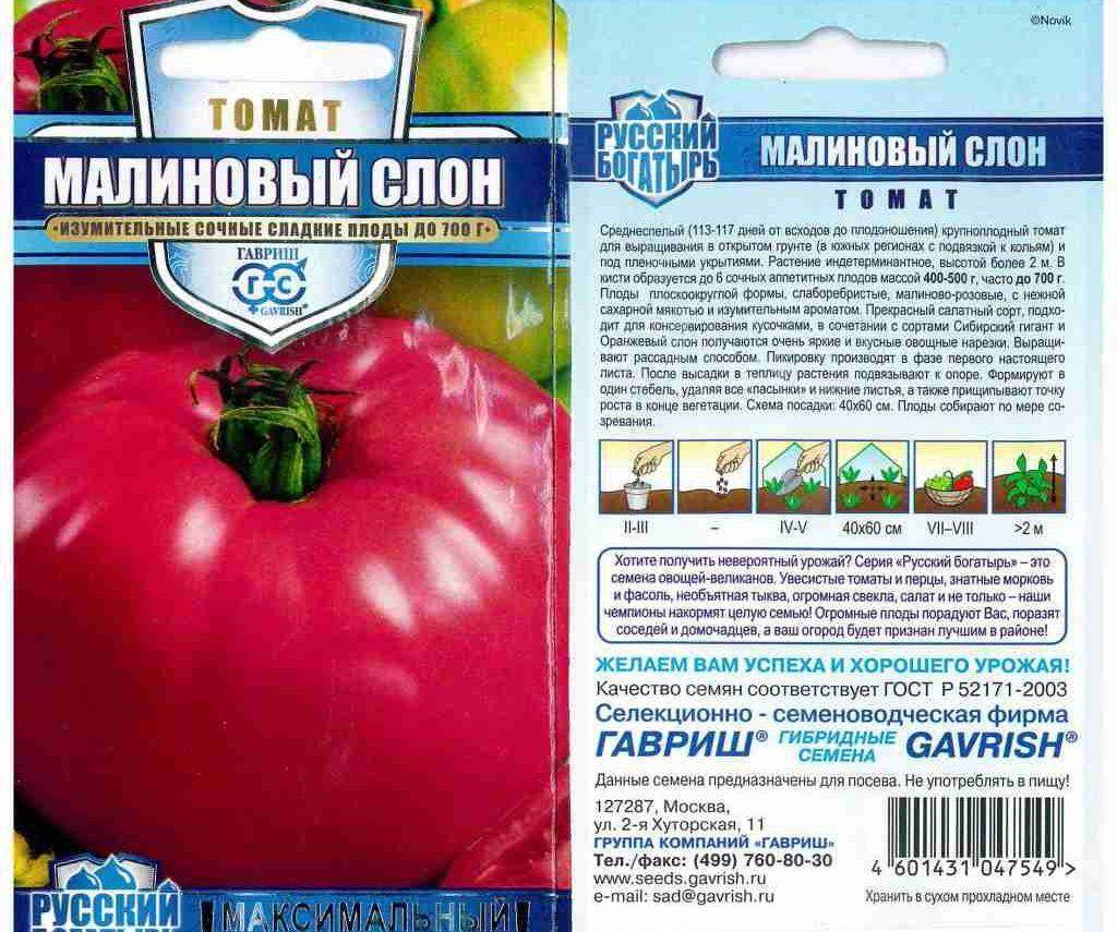Описание томатов Сахарный слон и характеристика плодов