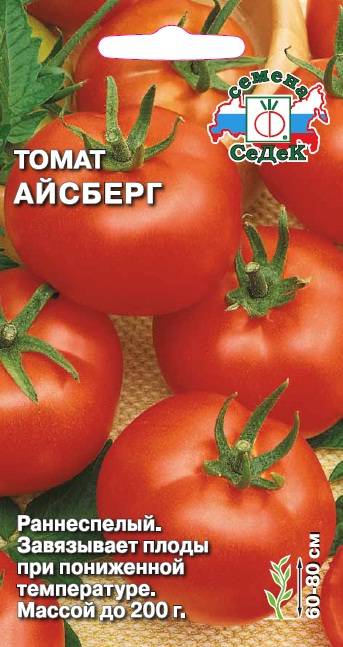Томат снежный барс: отзывы об урожайности помидоров, характеристика и описание сорта, видео и фото куста в высоту