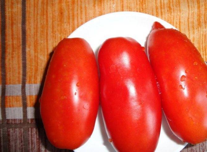 Один из самых плодовитых среди черри — томат стар голд f1: описание сорта и советы по его выращиванию