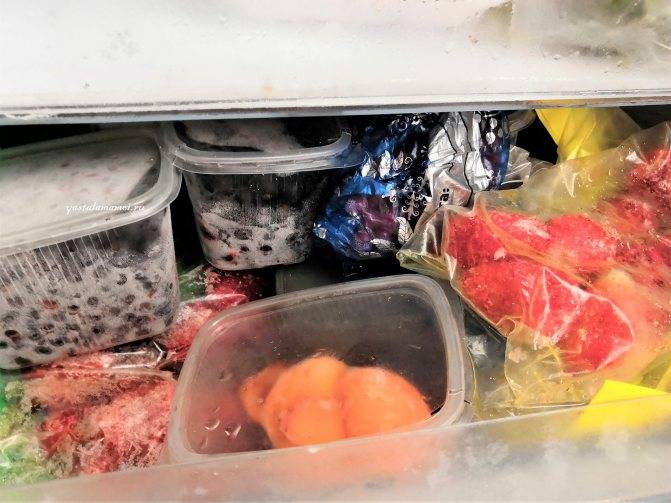 Как правильно заморозить на зиму баклажаны в морозильной камере