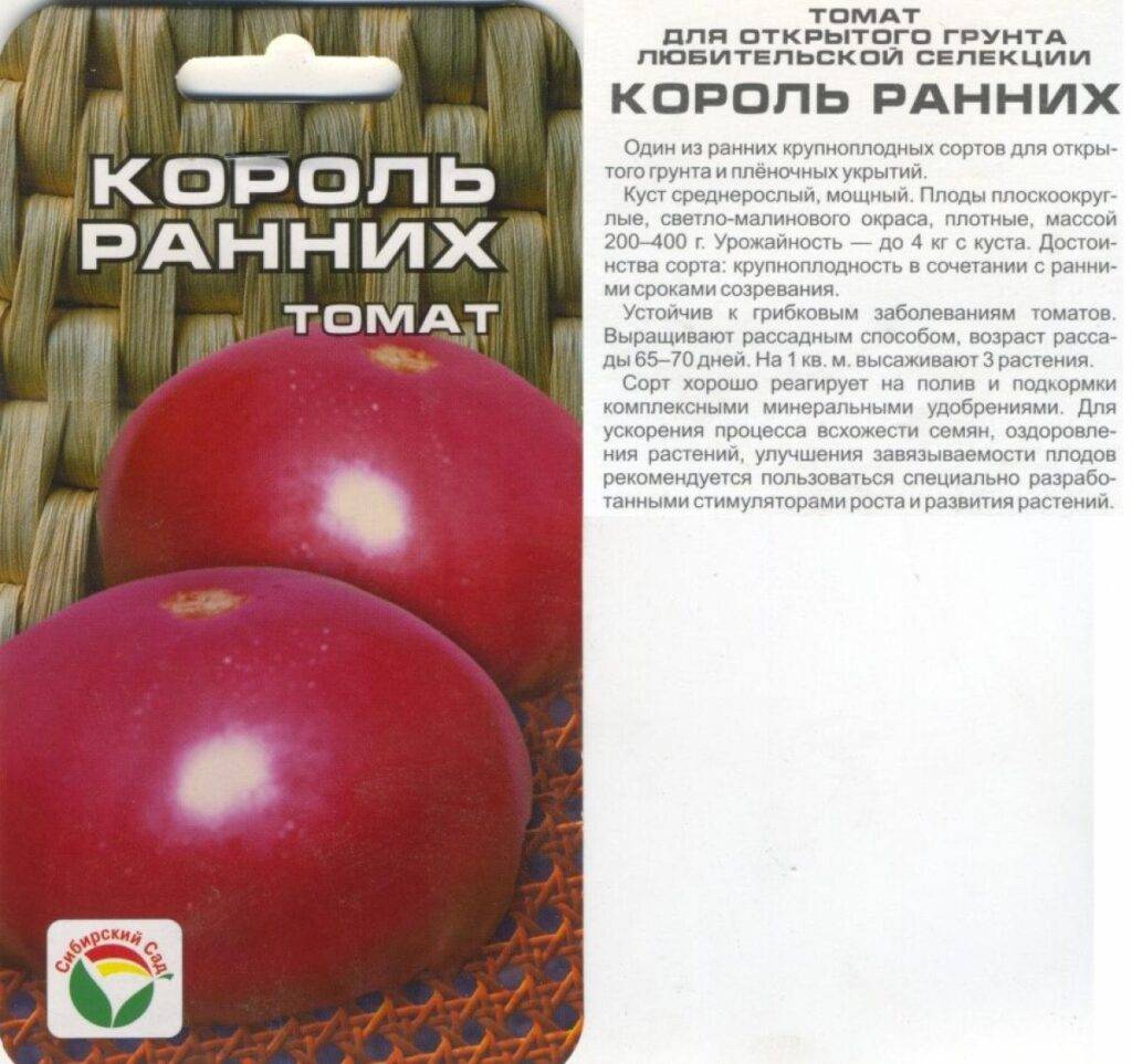 Особенности выращивания и ухода томатов сорта «король гигантов»