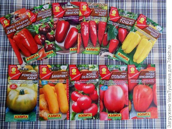 Томат жорик обжорик: характеристика и описание сорта, фото куста, отзывы тех кто сажал помидоры об их урожайности