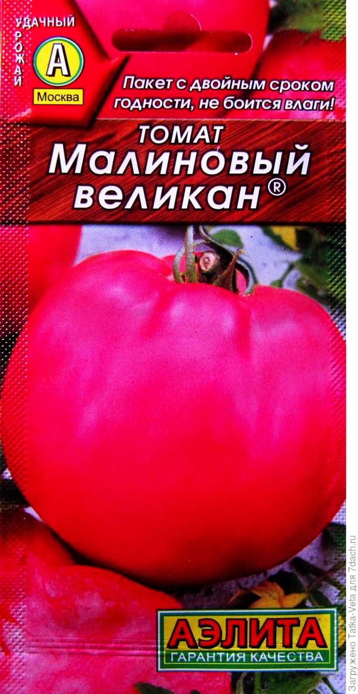 Фото, отзывы, описание, характеристика, урожайность индетерминантного сорта томата «ожаровский малиновый».
