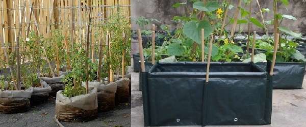 Выращивание огурцов в мешках с землей: инструкция о том, как пошагово посадить и вырастить овощи, фото и видео процесса посадки