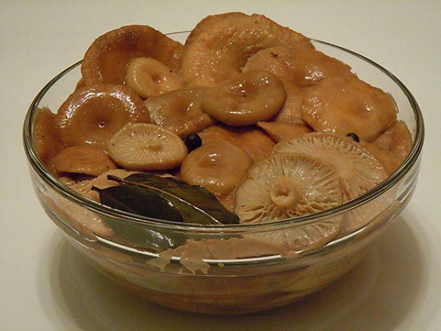Как правильно солить и мариновать грибы волнушки + видео