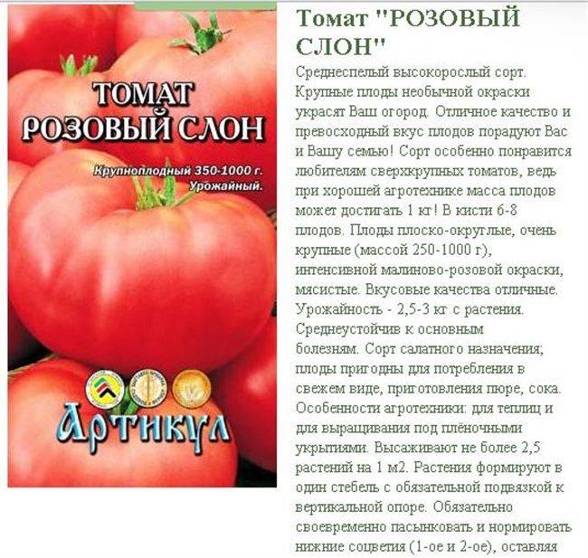 Томат гигант новикова: фото и отзывы об урожайности помидоров, его преимущества и недостатки, основы агротехники