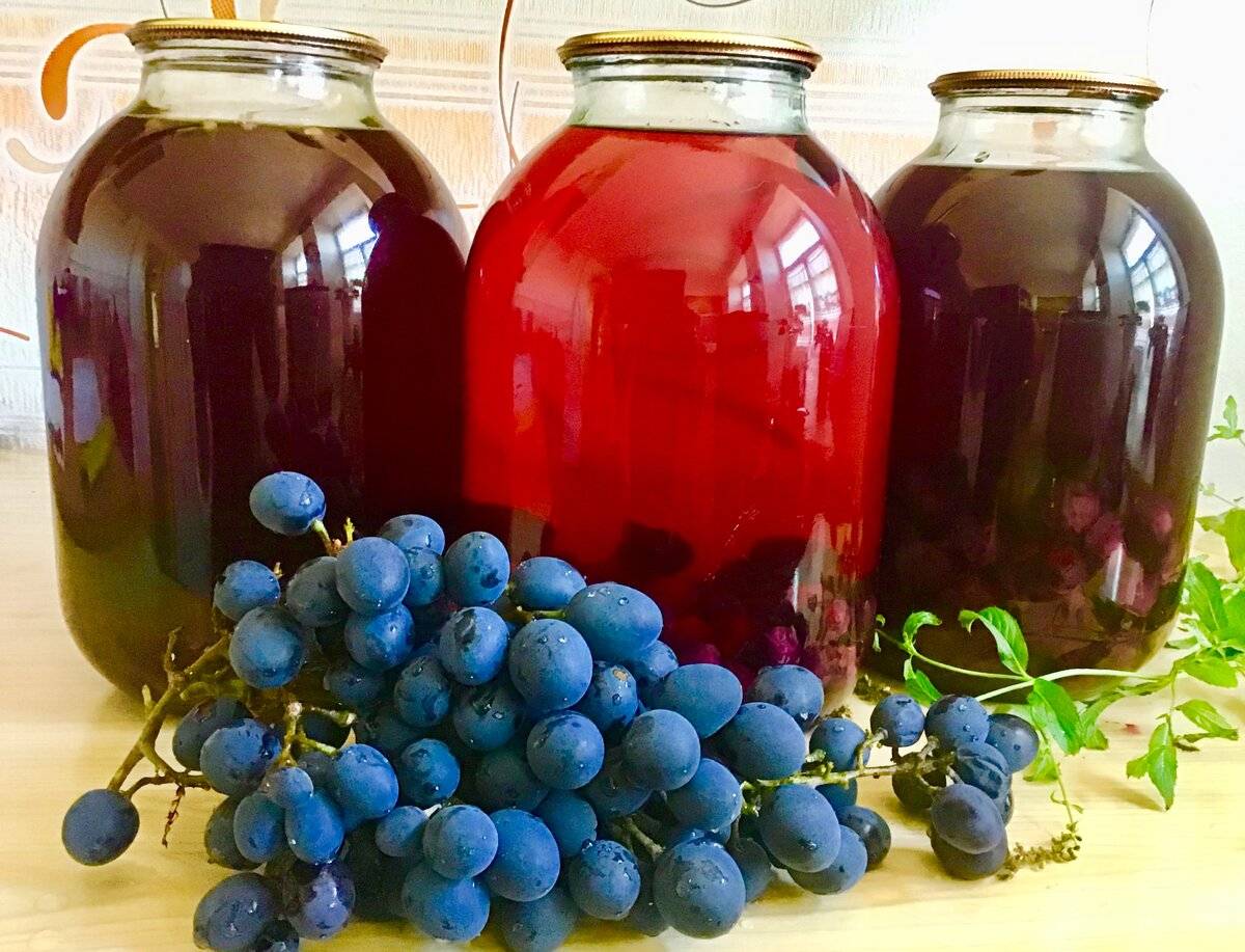 Виноградный сок в домашних условиях: простые рецепты как приготовить на зиму