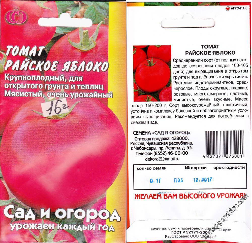 Характеристика раннеспелого томата Райское яблоко и агротехника выращивания