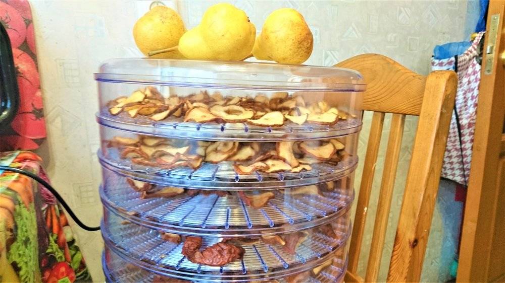 Сушка из груш в домашних условиях. как хранить сушеные груши в домашних условиях