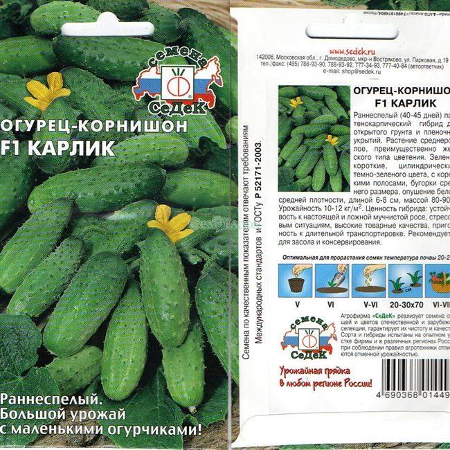 Огурец лилипут f1: описание и урожайность сорта, фото, отзывы