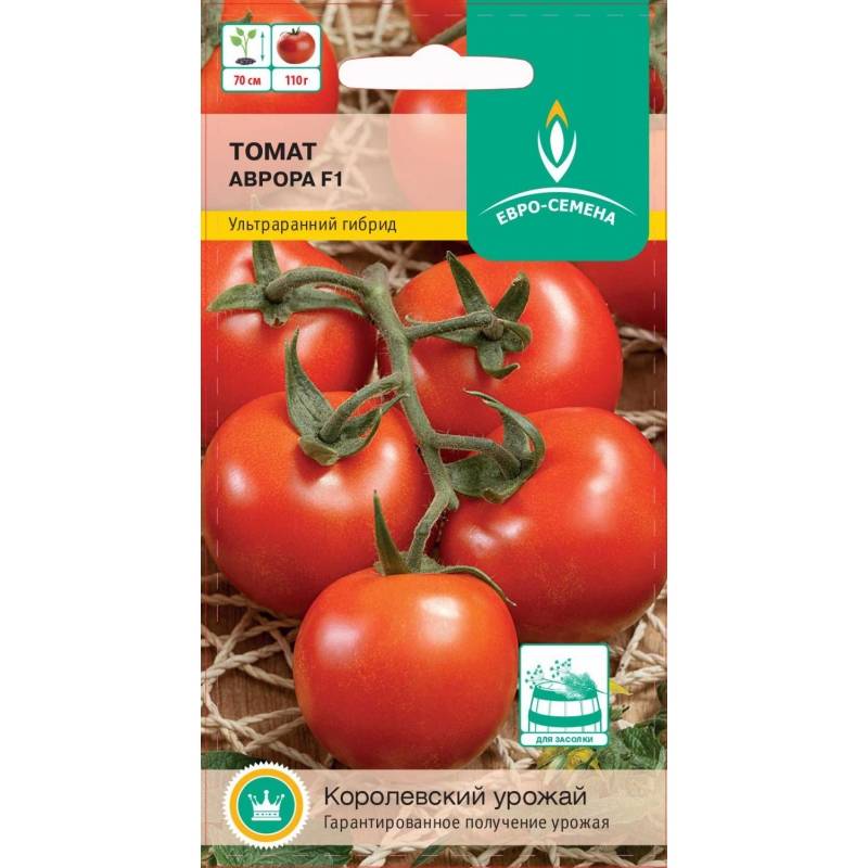 Томат аврора (f1): описание сорта помидоров, отзывы об их выращивании от огородников, преимущества и недостатки