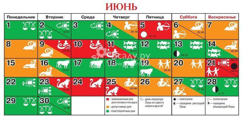 Лунный календарь садовода-огородника на июнь 2021 года - истории - u24.ru