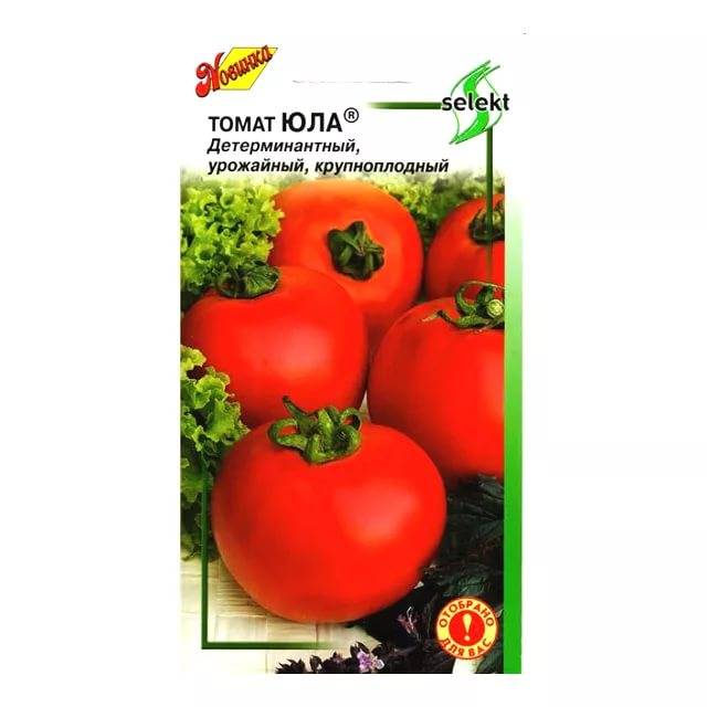 Описание томата Юла, правила посадки и выращивание растения