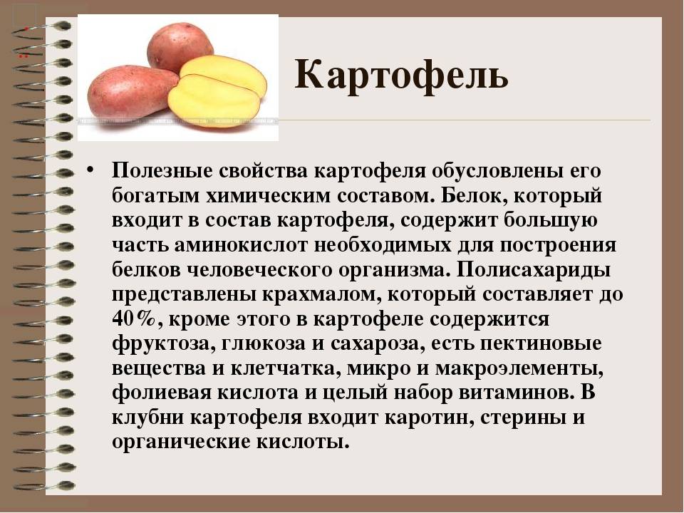 ᐉ можно ли есть сырой картофель: польза и вред для здоровья - roza-zanoza.ru
