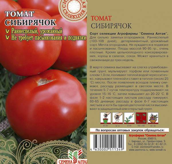 Томат сибирские шаньги: отзывы об урожайности, фото помидоров, характеристика и описание сорта