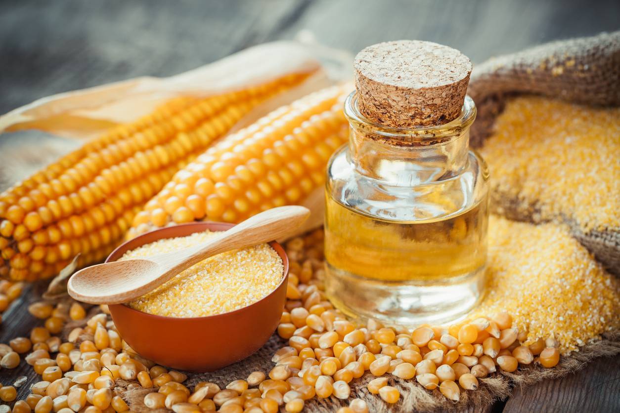 Кукуруза — польза и вред для здоровья, свойства и противопоказания ????