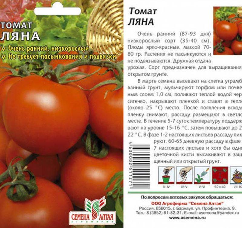 Что такое индетерминантные и детерминантные сорта томатов: отличия между ними, преимущества и недостатки. индетерминантные томаты: характерные особенности, распространённые сорта, нюансы выращивания