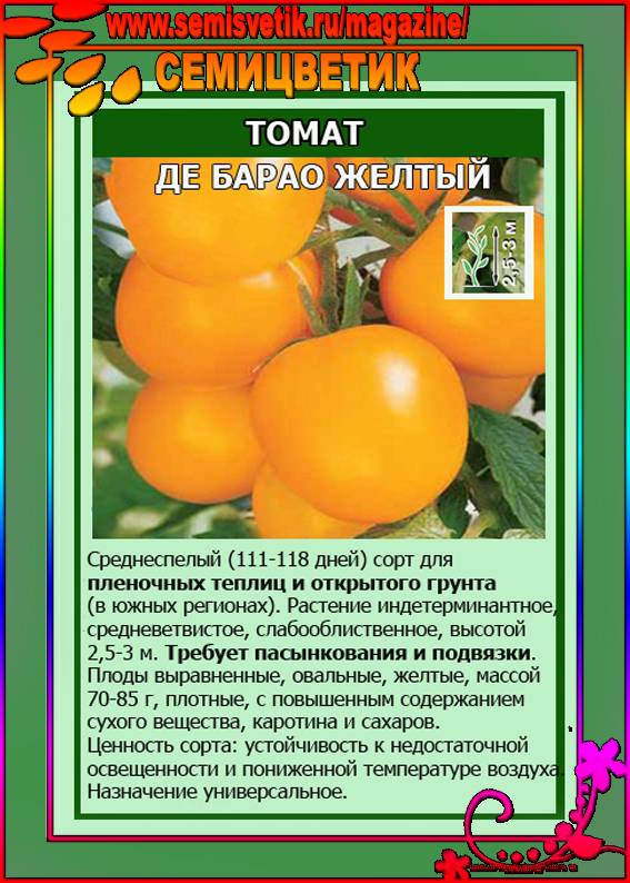 Описание томата Желтый гигант, культивирование и выращивание сорта