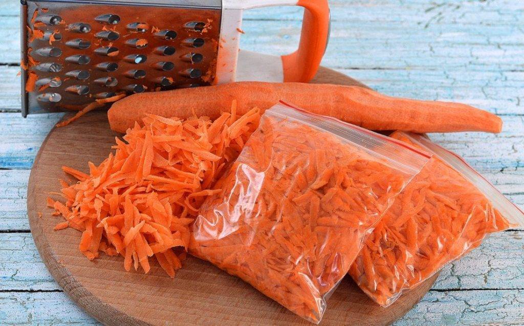 Как заморозить морковь на зиму в морозилке и сроки хранения