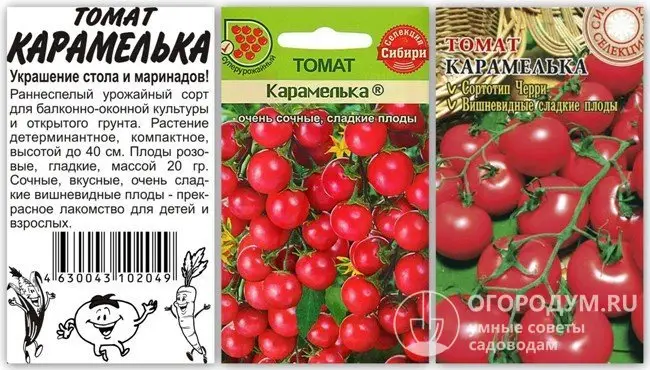 Фото, отзывы, описание, характеристика, урожайность устойчивого и индетерминантного гибрида томата «карамель красная f1».