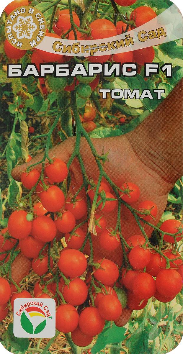 Томат барин: характеристика и описание сорта, мнение садоводов с фото