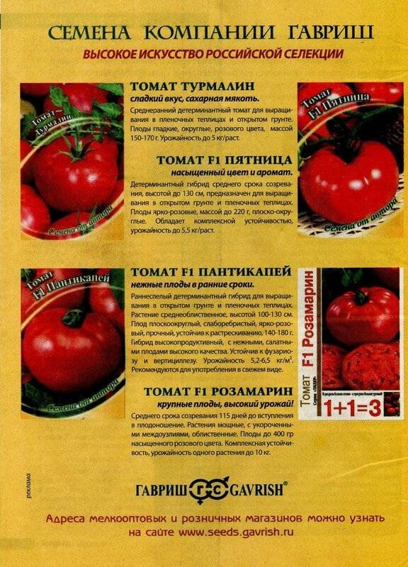 Характеристики и описание томат «красная гвардия f1»: отзывы садоводов – все о томатах. выращивание томатов. сорта и рассада.