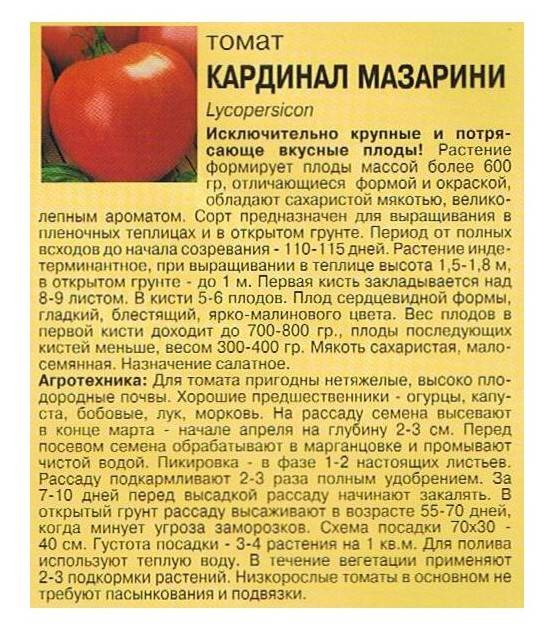 Томат голицын: характеристика и описание сорта, фото семян, отзывы тех кто сажал помидоры об их урожайности