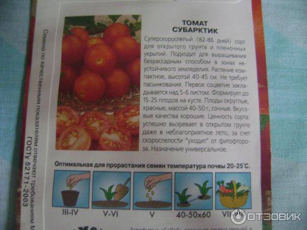 Безрассадный томат: семена прямо в грунт - сельхозобзор.ру