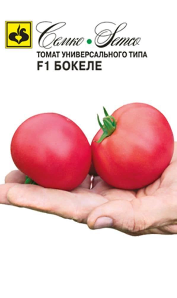 Розовоплодный томат «бокеле f1» — раннеспелый томат малинового цвета