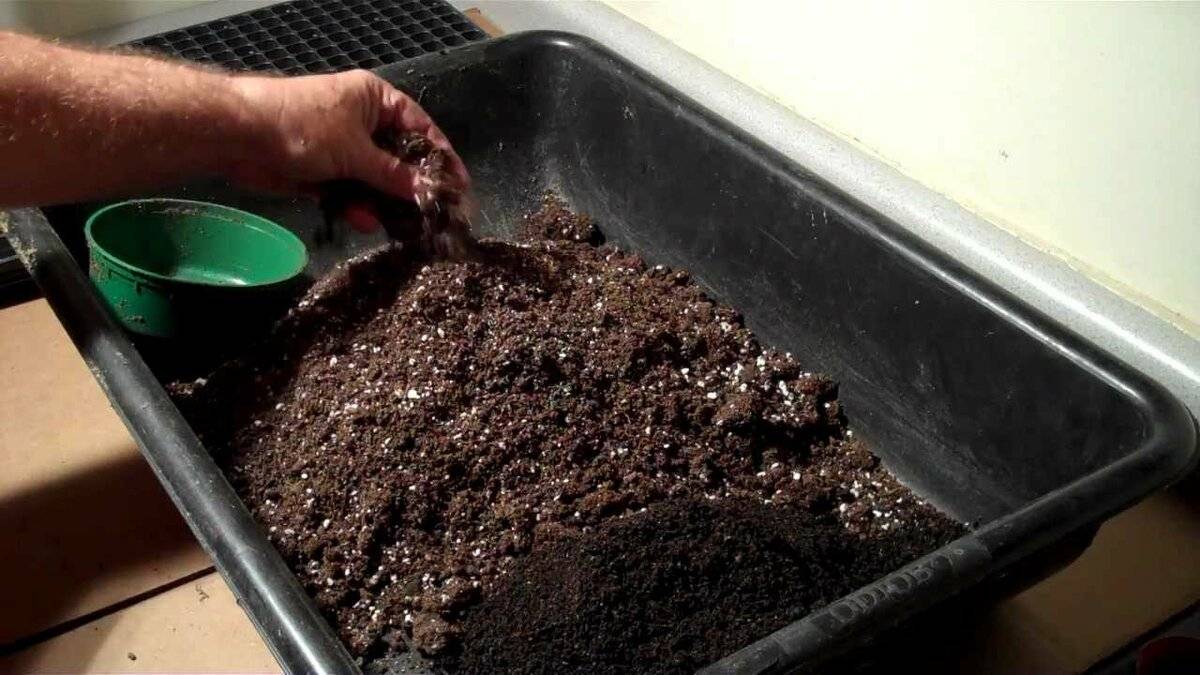 Правильная подготовка почвы для рассады помидоров