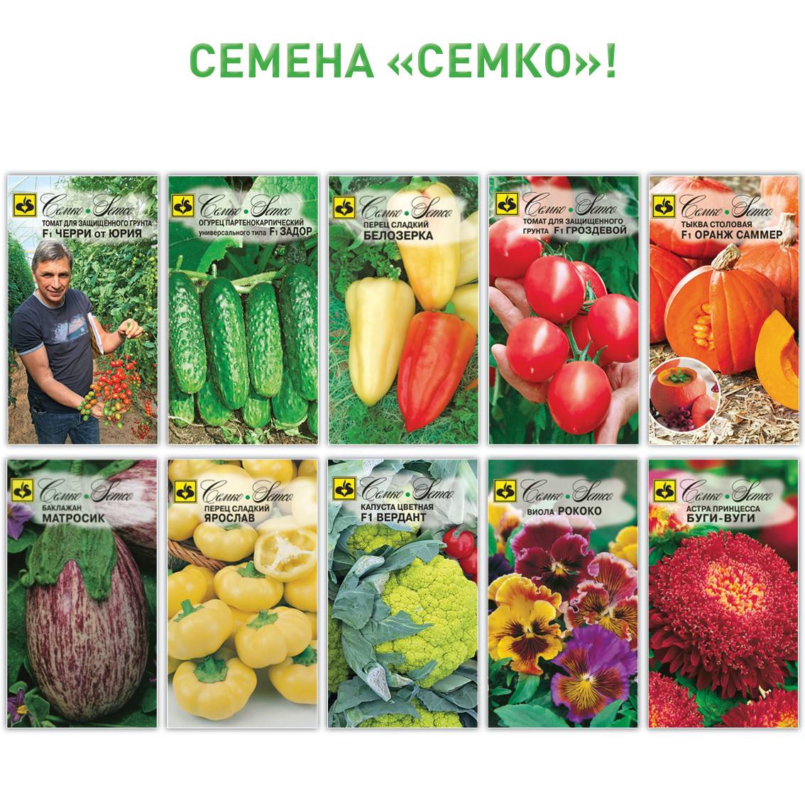 Новинки томатов фирмы партнер