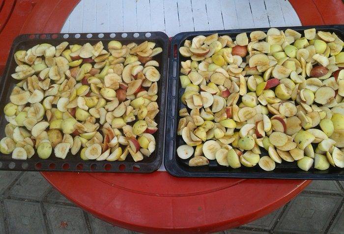 Сушеные яблоки в духовке в домашних условиях. как правильно засушить яблоки на зиму.