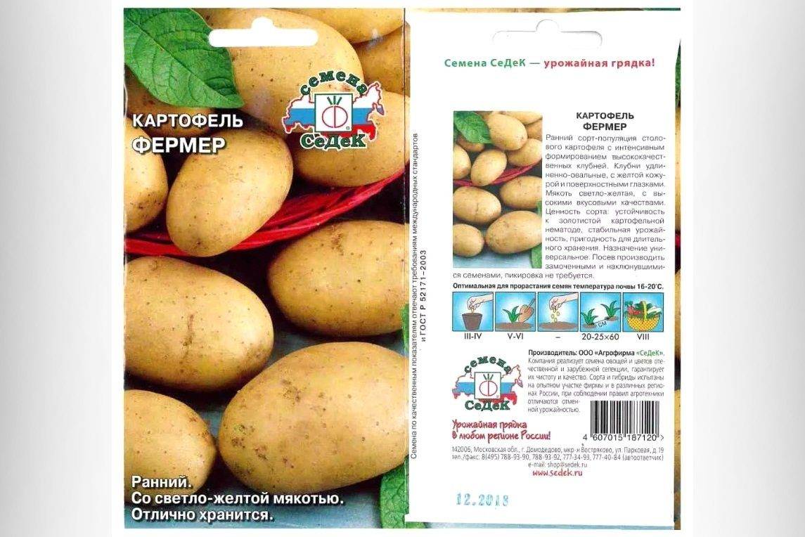 Картофель елизавета: описание и характеристики сорта, посадка и уход, отзывы с фото
