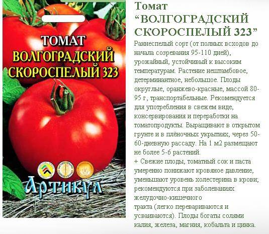 Выбираем ранние сорта томатов для теплицы и открытого грунта: личный опыт